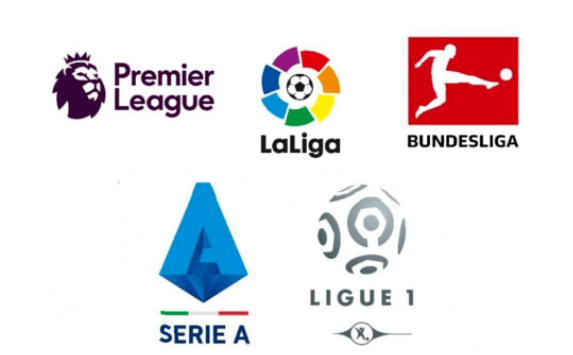 结合两队的 结合两队的